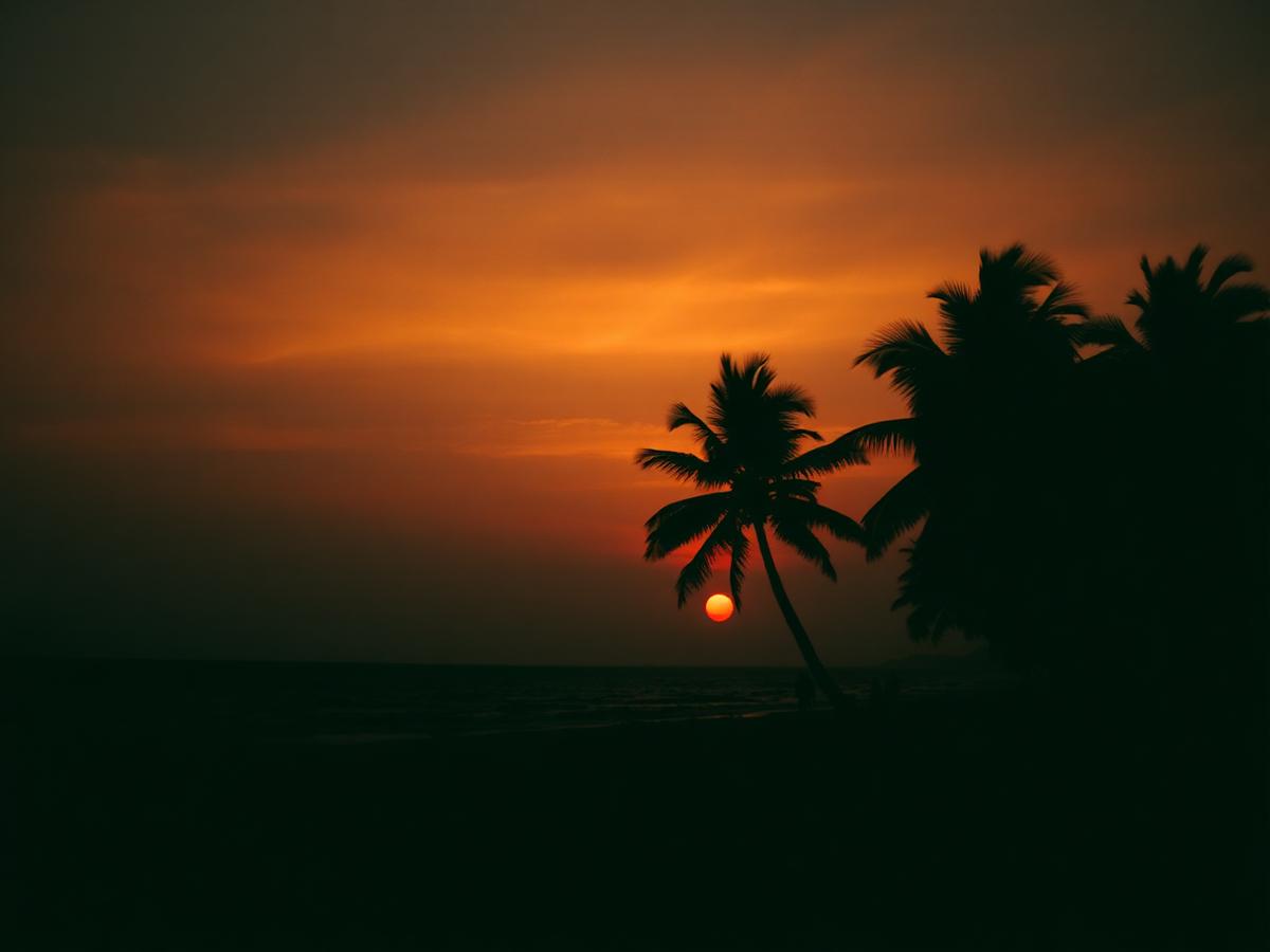 Goa beach at dusk with palm silhouettes