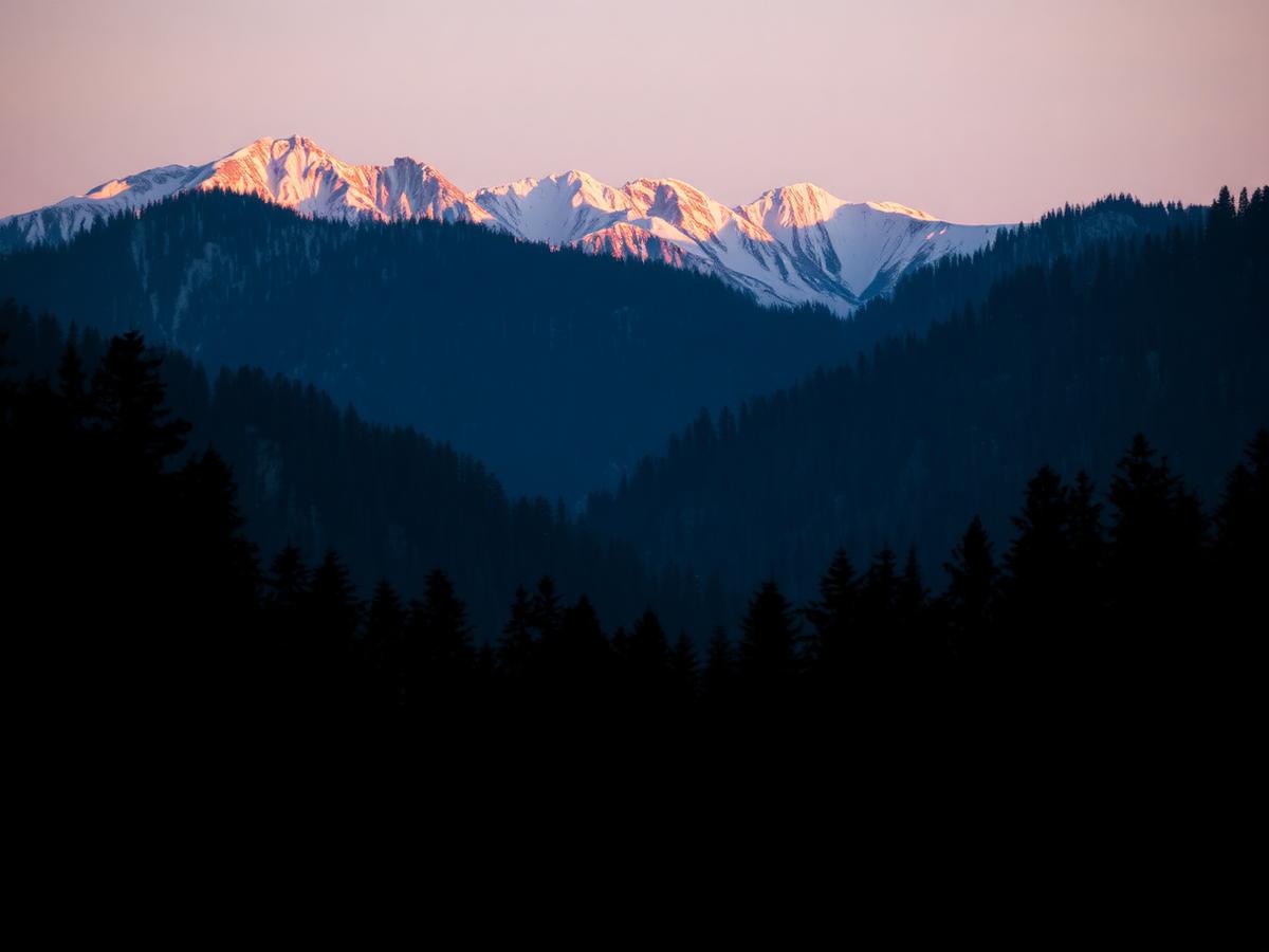 Snow peaks and pine forest in Uttarakhand at sunrise